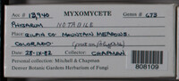 Image Associated With the Occurence